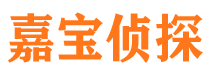 蜀山市私家侦探